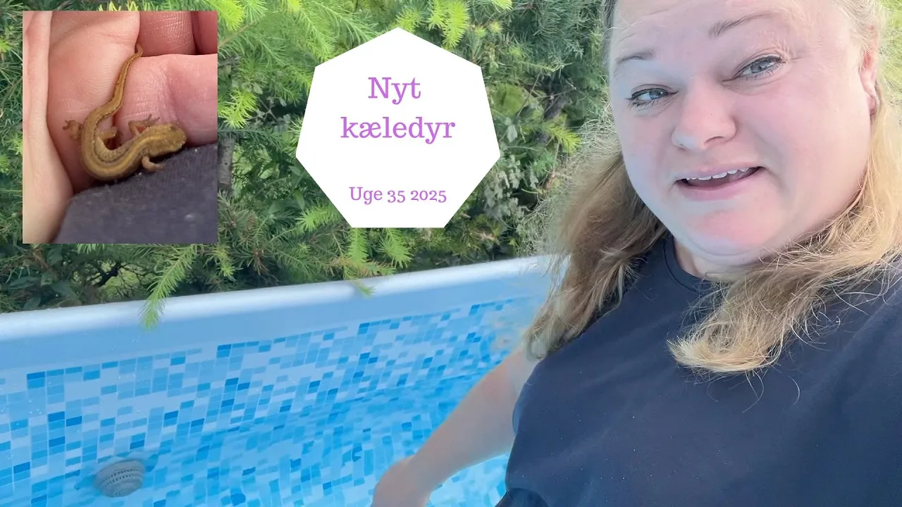 Farvel Pool - Nyt kæledyr