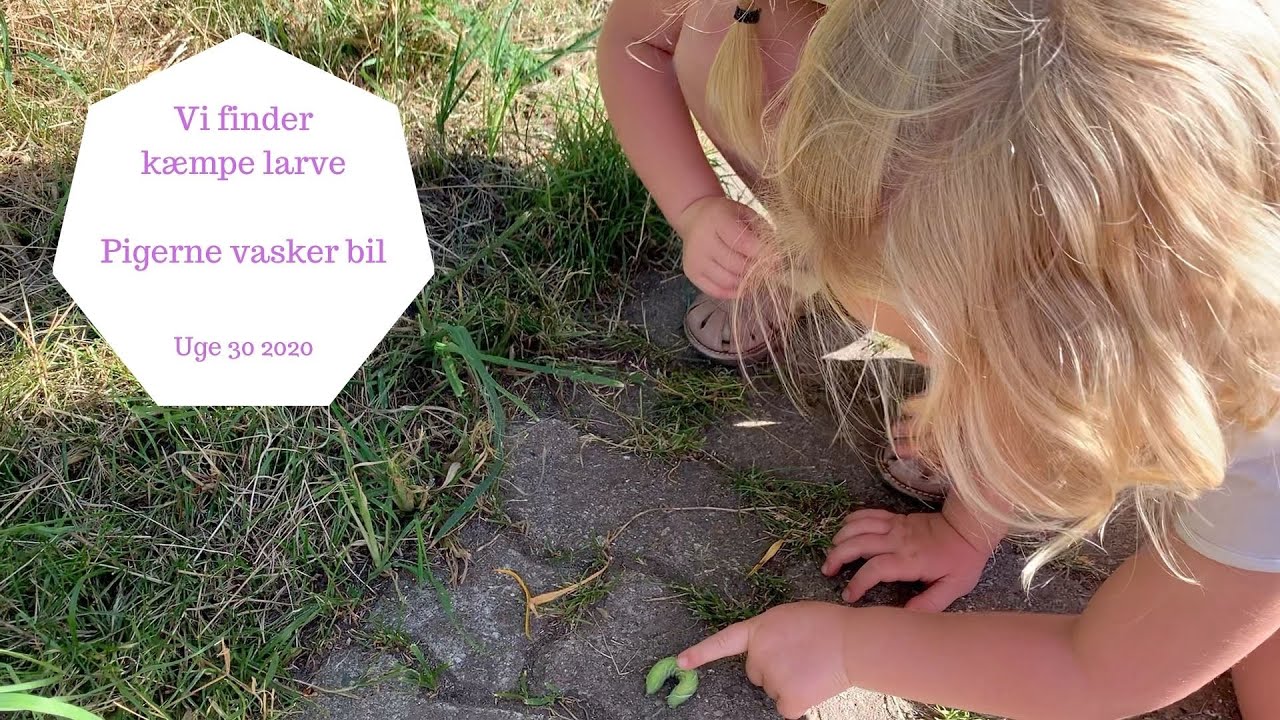 VI FINDER KÆMPE LARVE - PIGERNE VASKER BIL