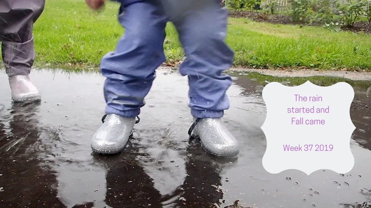 The Rain Started and Fall Came Week 37 2019