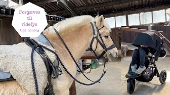 HELT FORGÆVES TIL RIDEFYS