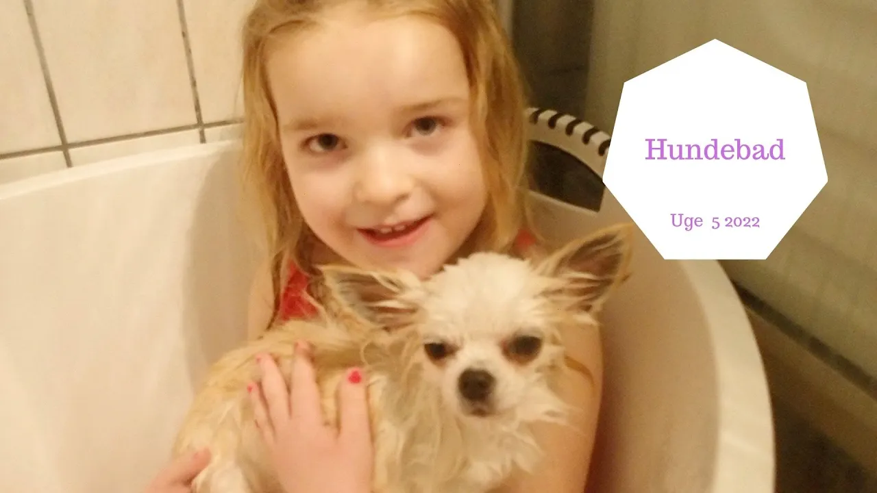 HALEY BADER VOERS HUND, COCO