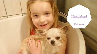 HALEY BADER VOERS HUND, COCO