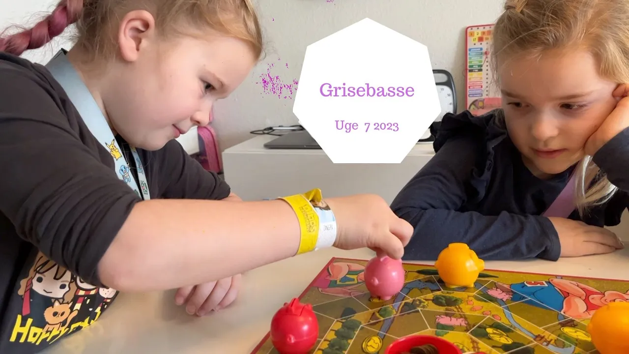 KAN I HUSKE GRISEBASSE