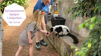 DYREPASSERENS HJÆLPER I JESPERHUS