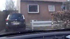 Mom and girl get eaten by giant fish