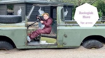 LEGEAFTALE I ZOOLOGISK HAVE