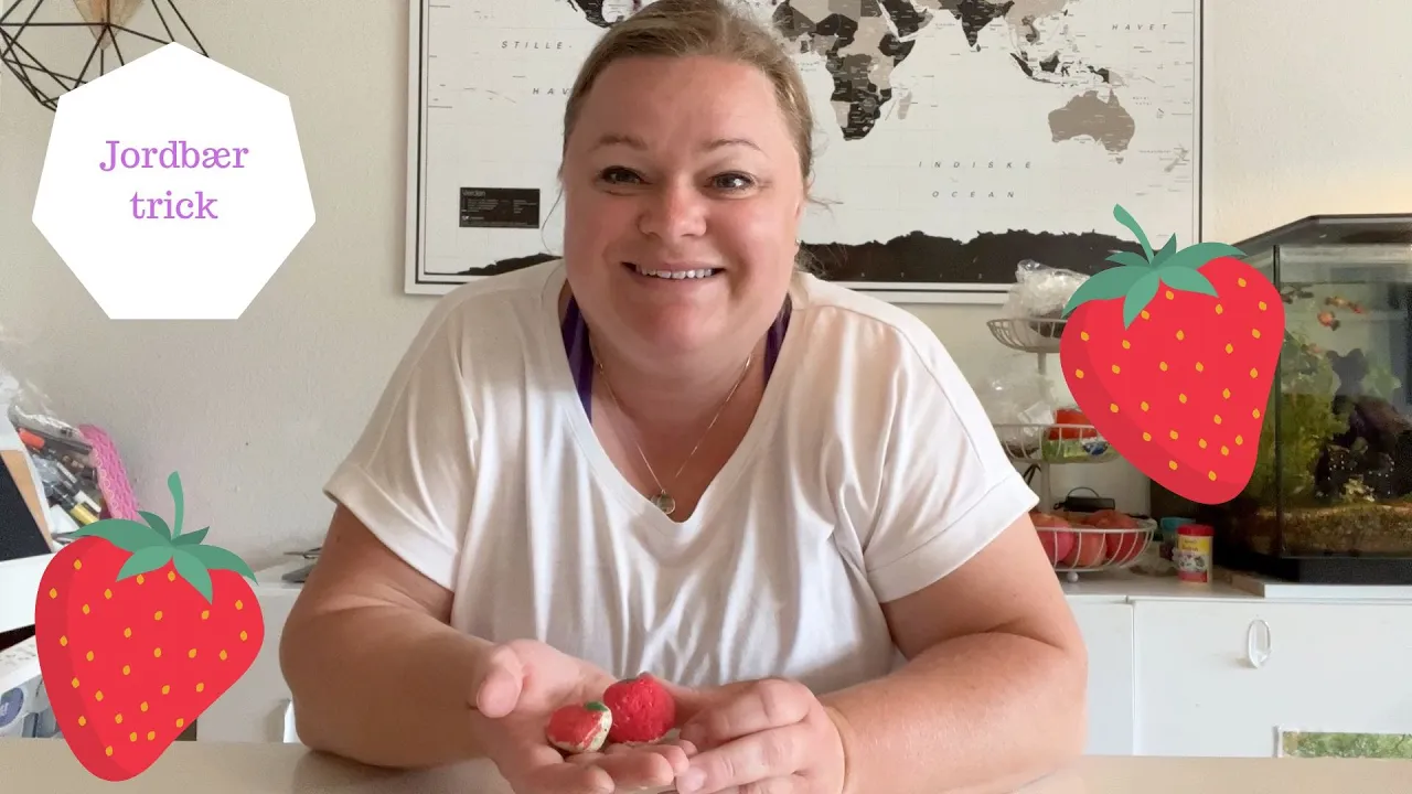 JORDBÆR TRICK - STEN JORDBÆR
