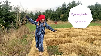 JULE HYGGE PÅ DYSSEGÅRDEN