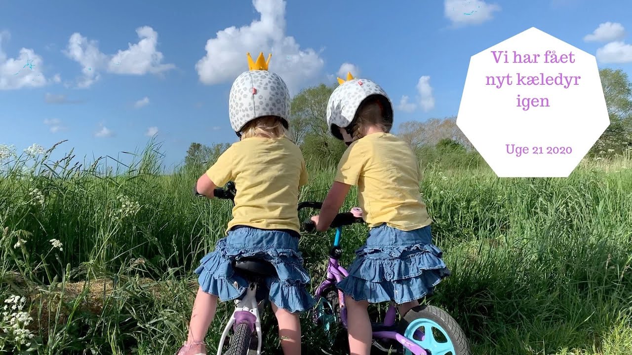 VI HAR FÅET NYT KÆLEDYR IGEN