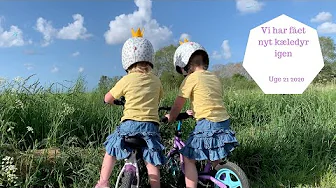 VI HAR FÅET NYT KÆLEDYR IGEN