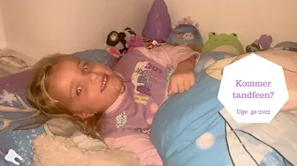 MON TANDFEEN KOMMER NÅR TANDEN BLEV TABT PÅ MALTA