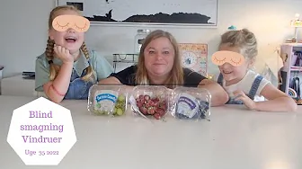 BLIND SMAGNING - KAN VI GÆTTE VINDRUER