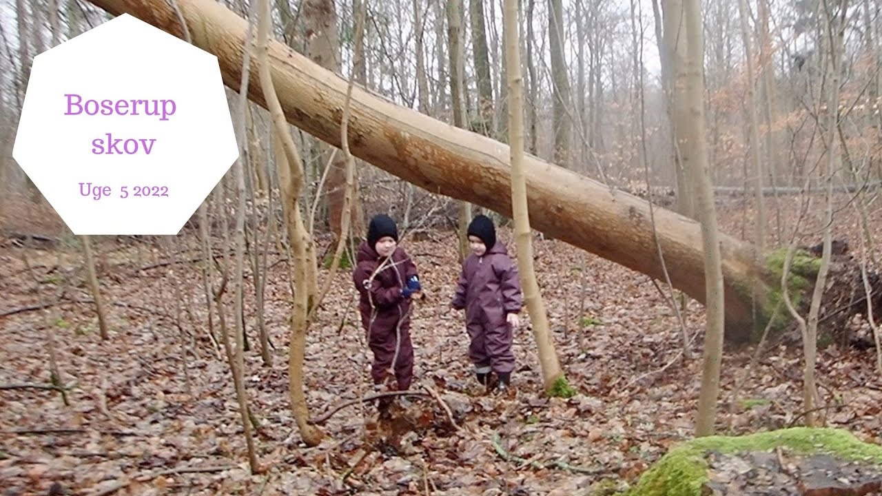 LANG VANDRETUR I BOSERUP SKOV