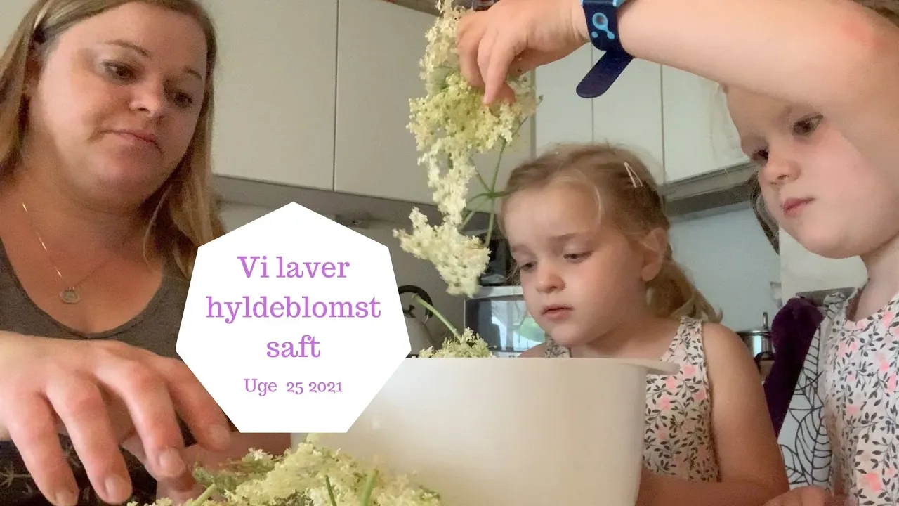 VI LAVER HYLDEBLOMST SAFT