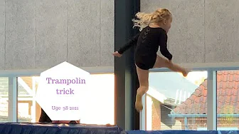 HALEY SYNES TRAMPOLIN ER SÅ SJOVT