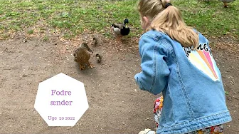 VI FODRE ÆNDER OG FÅR BILEN VASKET