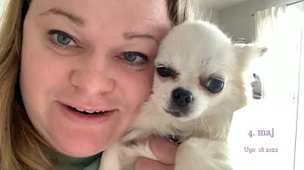 NINTENDO, KØKKENHAVE, LIGGER FLISER OG FAMILIE KLUB