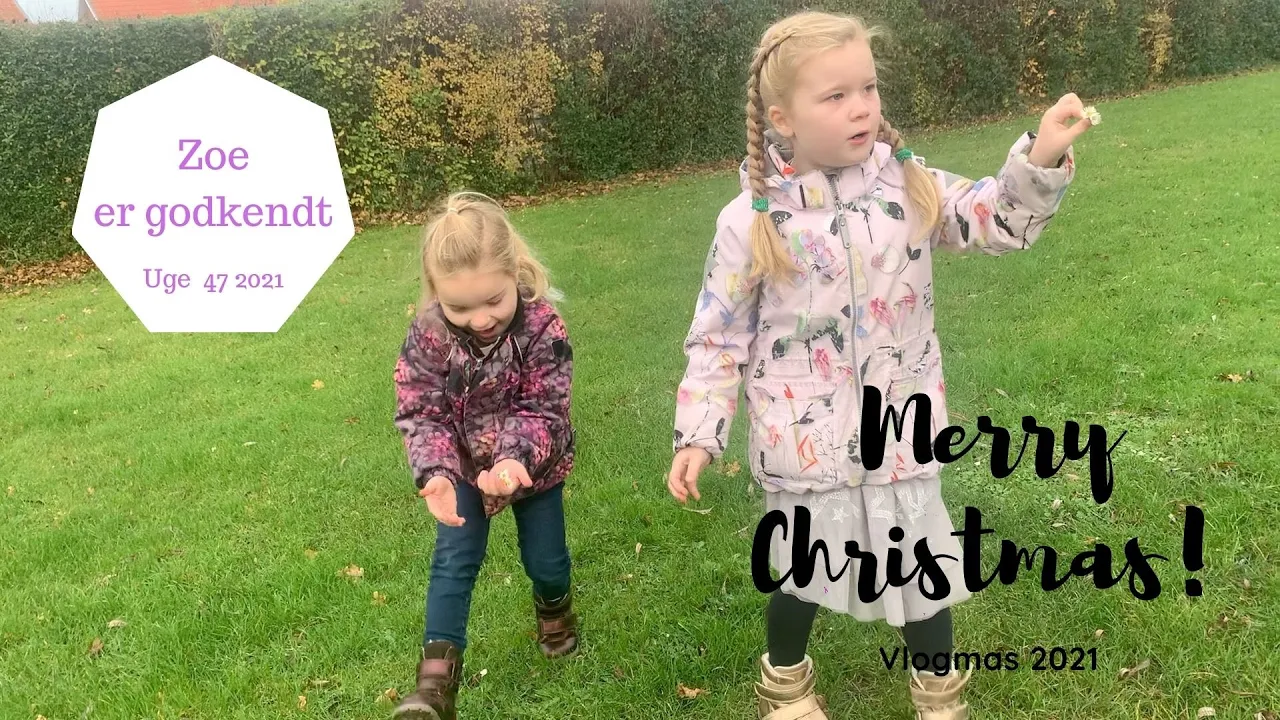 ZOE ER GODKENDT - HVAD SKAL DER SÅ SKE
