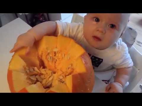 Halloween pumpkin the baby way