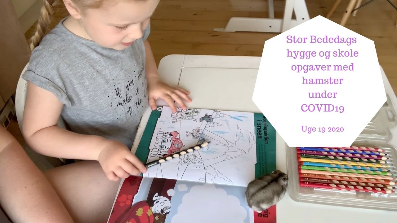 STOR BEDEDAGS HYGGE  OG SKOLEOPGAVER MED HAMSTER under COVID19