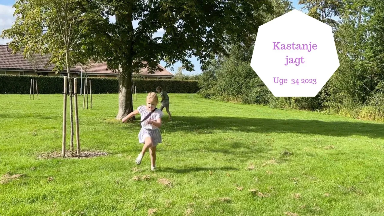 HJEMMESKOLE, HYGGE, KASTANJEJAGT OG FORÆLDREMØDE