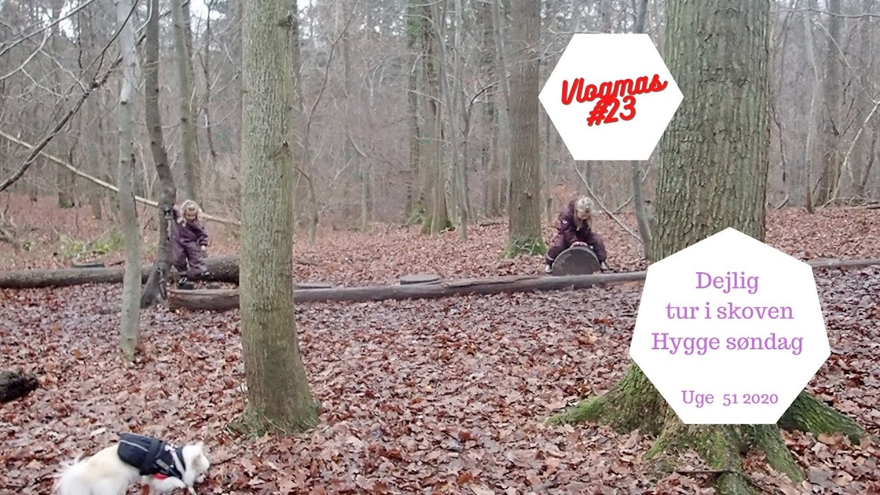 DEJLIG TUR I SKOVEN - HYGGE SØNDAG