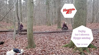 DEJLIG TUR I SKOVEN - HYGGE SØNDAG