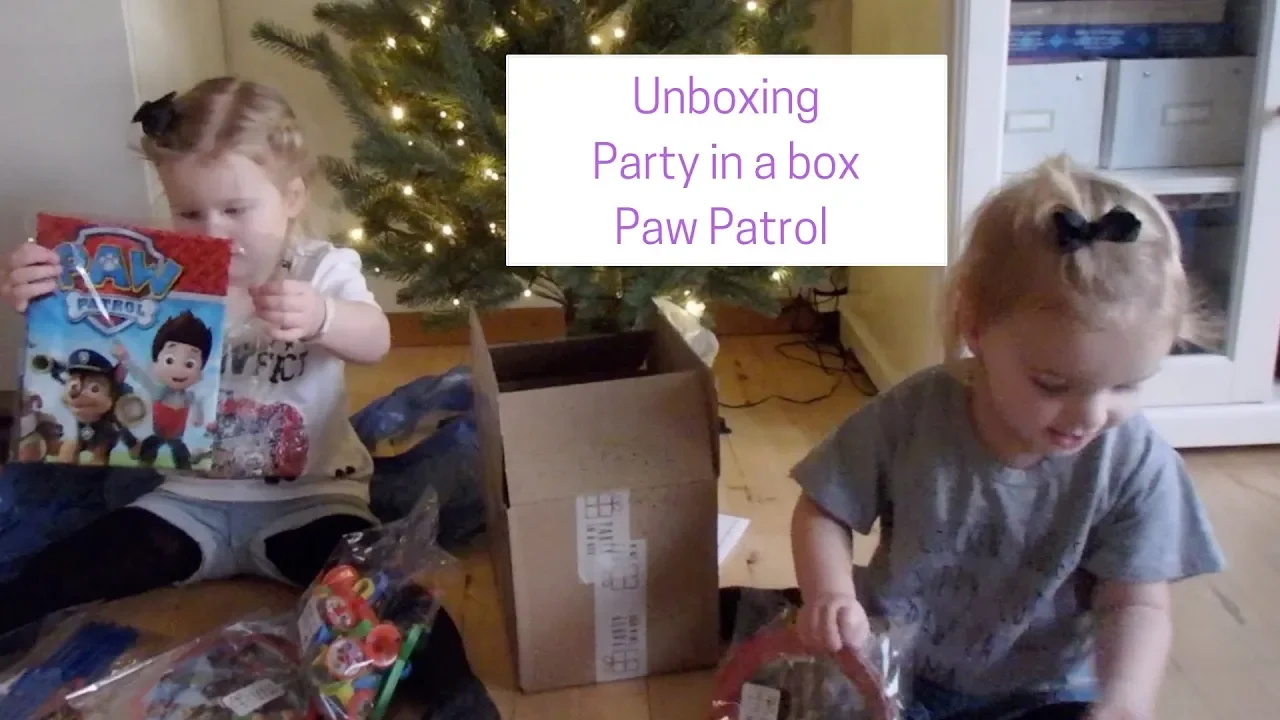 Unboxing Party In A Box Paw Patrol Theme DANSK