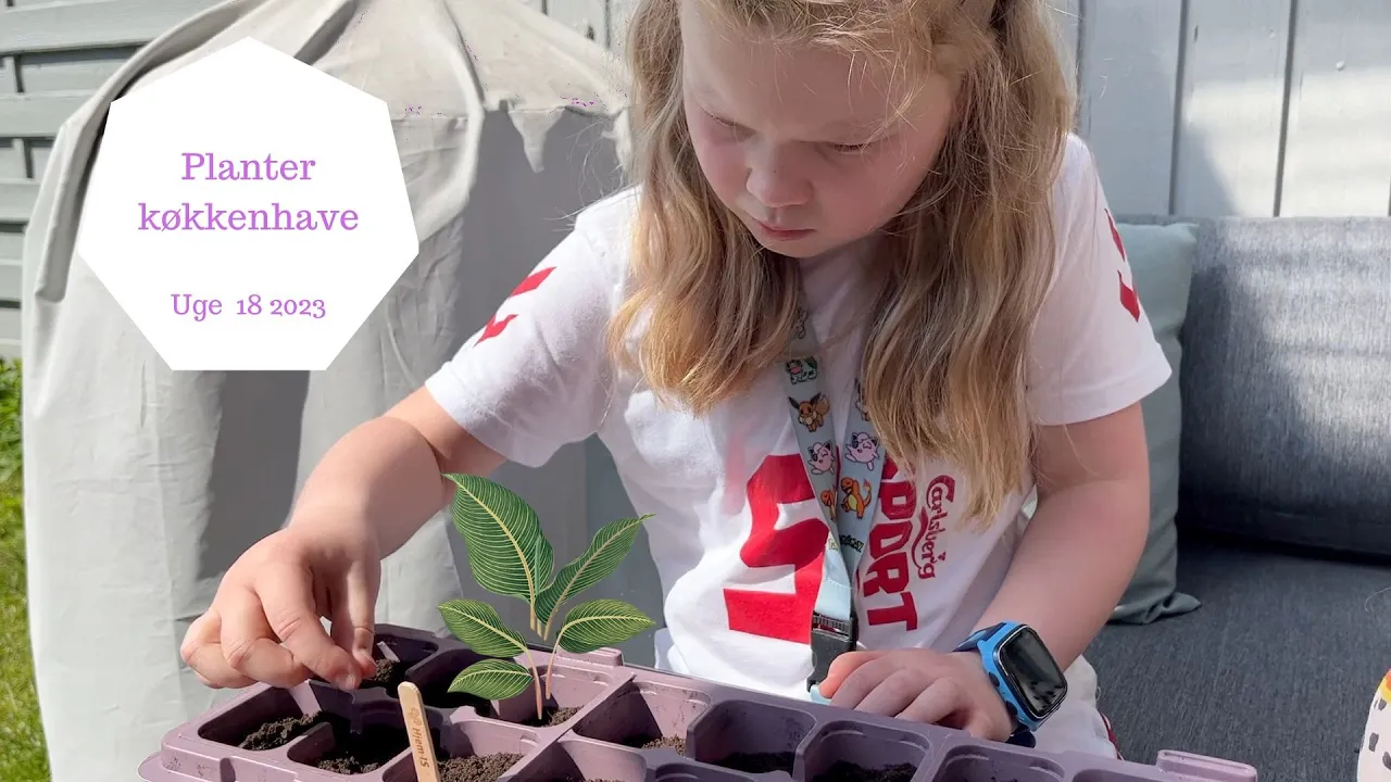 VI PLANTER PLANTER TIL VORES KØKKENHAVE