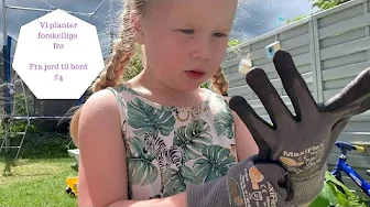 FRA JORD TIL BORD #4