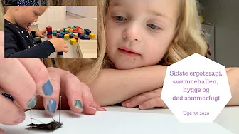 SIDSTE ERGOTERAPI, SVØMMEHALLEN, HYGGE OG DØD SOMMERFUGL