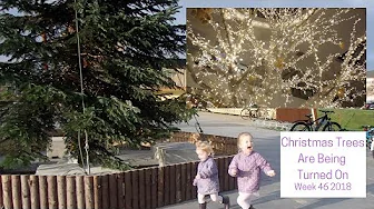 Christmas Trees Are Being Turned On