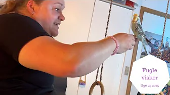 Vi har Fuglen ude for Første gang