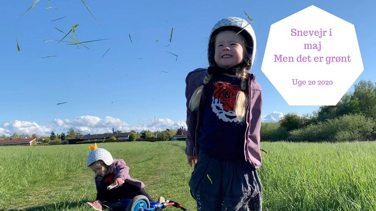 SNEVEJR I MAJ - MEN DET ER GRØNT
