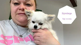 COCO SKAL TIL DYRELÆGEN