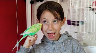 JEG HAR LÆRT MIN FUGL AT SIGE “TRUCKER FINN"