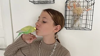 Nyt bur til Tulle - gik helt galt!