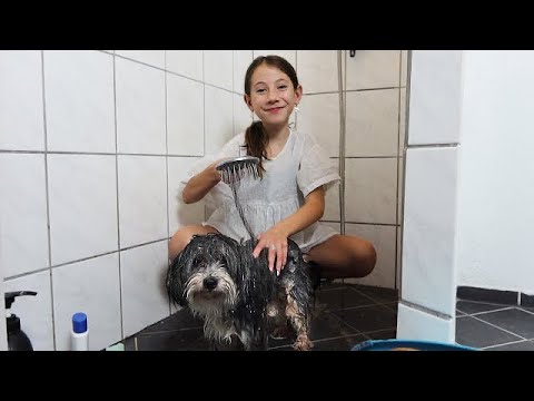 NAJAS FRISØR SALON MED MIN HUND