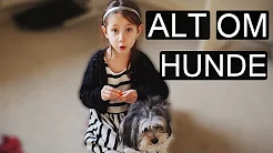 JEG ER HUNDE EKSPERT!