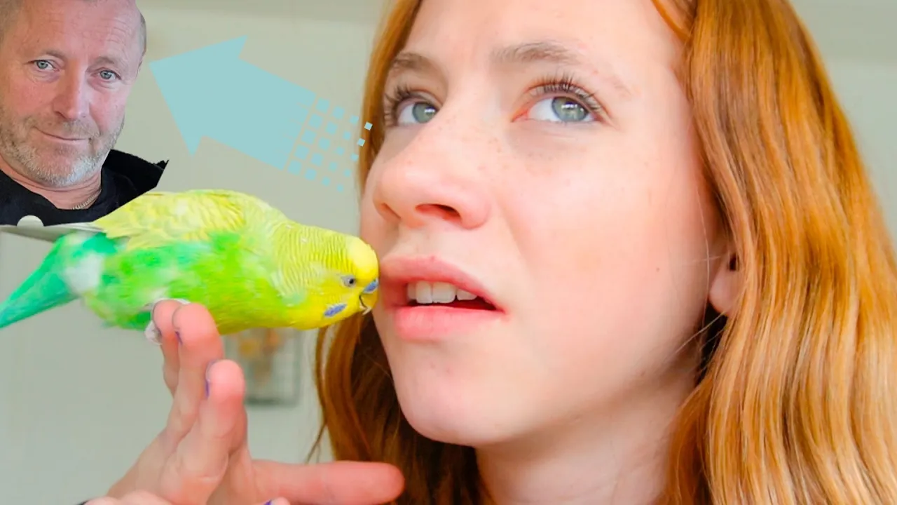 Far ødelægger min video!