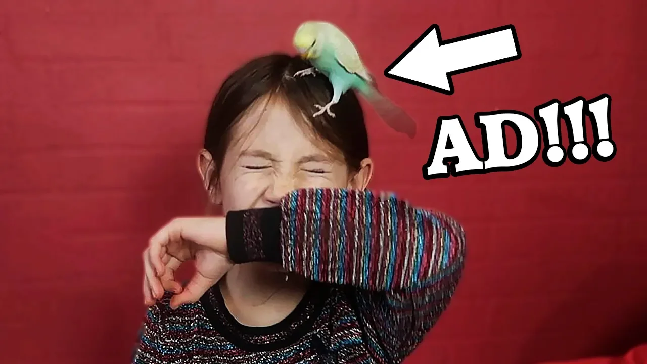 MIN FUGL SKIDER MIG I HOVEDET