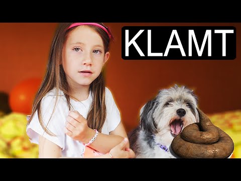 MIN HUND SPISER LORT?!