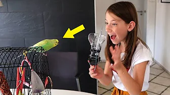 OVERRASKER MIN FUGL MED GAVER