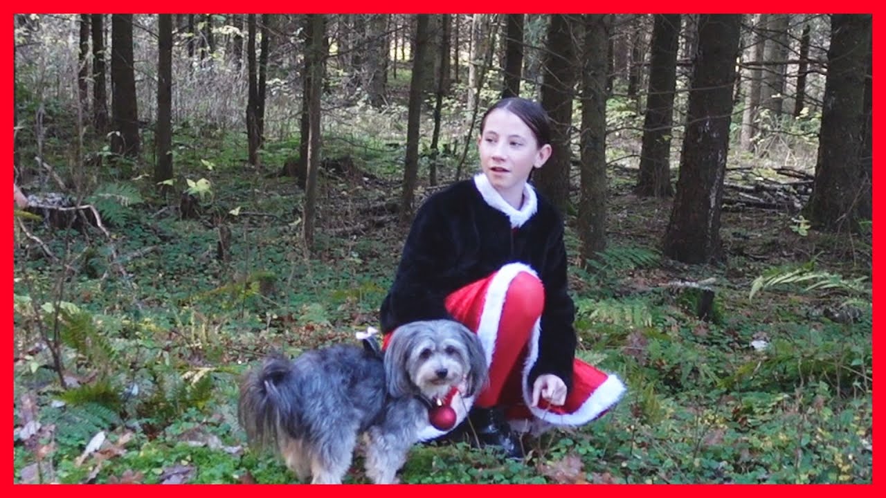 Hader-Jul-Heksen stjæler Mini / 1. søndag i Advent