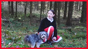 Hader-Jul-Heksen stjæler Mini / 1. søndag i Advent