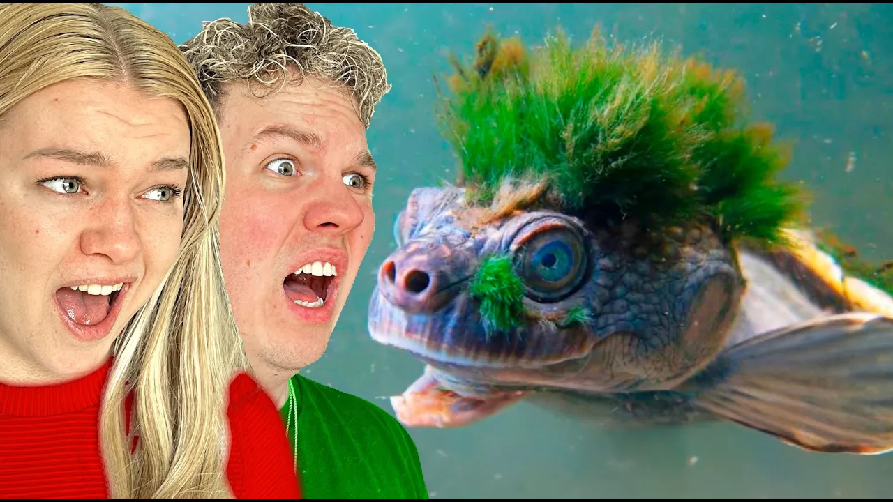 Mærkelige Dyr som man Ikke Vidste Fandtes!