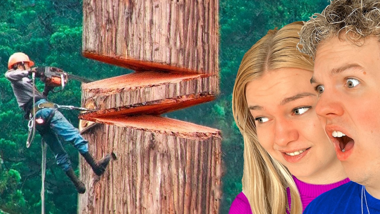 De Vildeste SATISFYING JOBS i Verden!