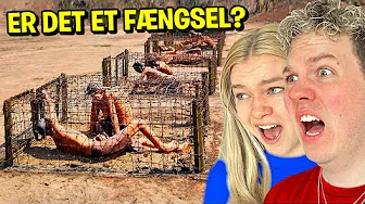 De VÆRSTE FÆNGSLER i Verden!