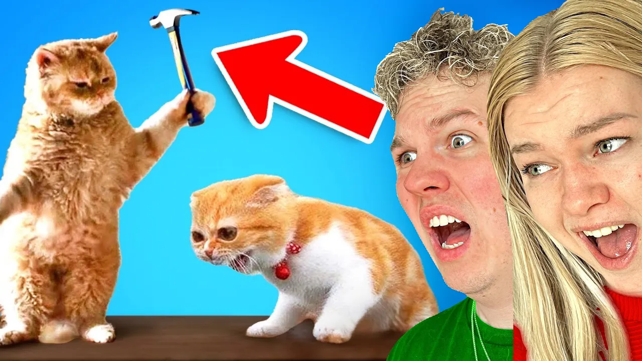 De SJOVESTE TIKTOKS Nogensinde!🤣