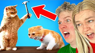 De SJOVESTE TIKTOKS Nogensinde!🤣